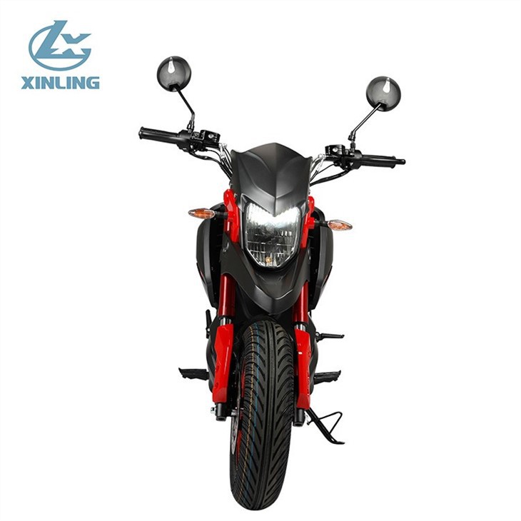 Adult Electric Motorcycle